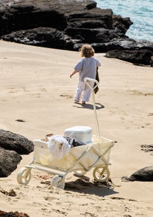 George Collective - Foldable Beach Cart - Beige