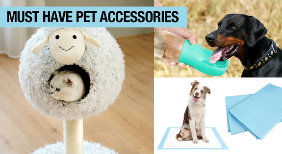 Shop the Must Have Pet Accessories sale